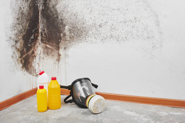 Best Certified Mold Removal  in Milton Freewater, OR