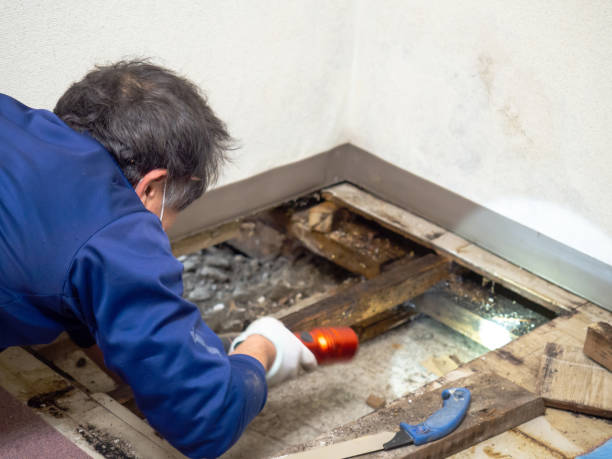 Best Crawl Space Mold Removal  in Milton Freewater, OR