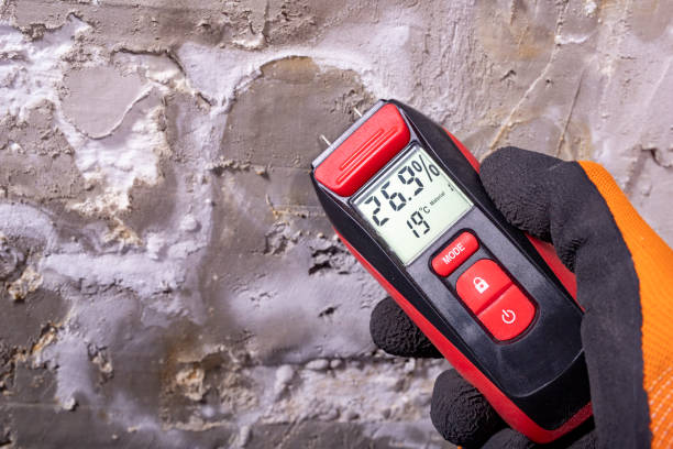 Best Mold Remediation  in Milton Freewater, OR