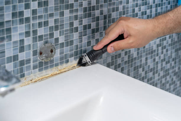 Best Mold Testing and Removal  in Milton Freewater, OR