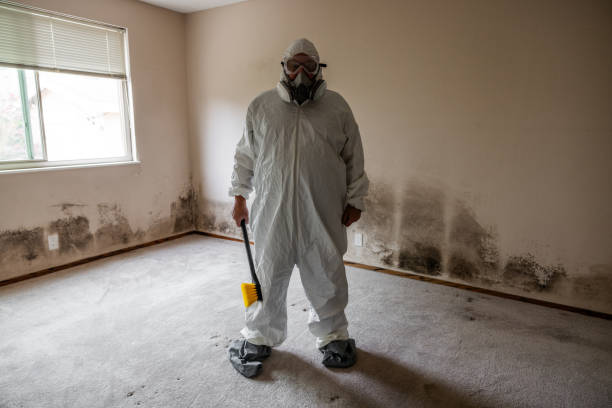 Best Emergency Mold Removal  in Milton Freewater, OR